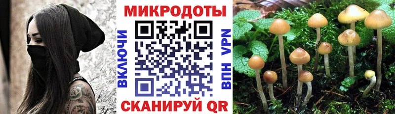 Галлюциногенные грибы ЛСД  наркошоп  Знаменск 